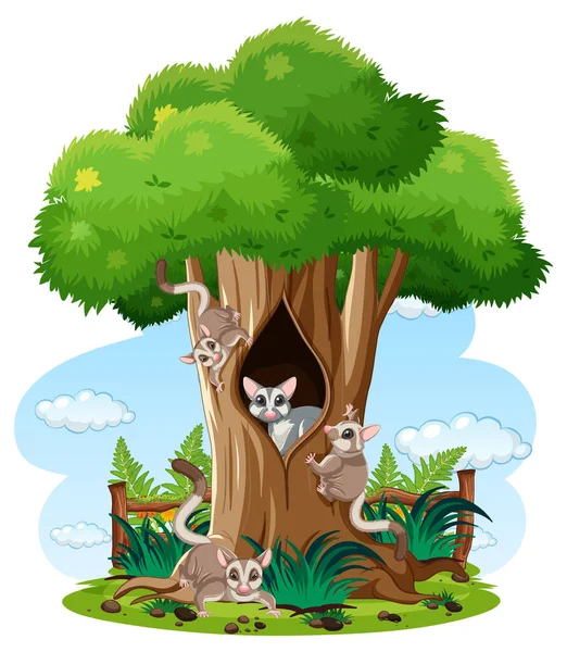 Scene Sugar Gliders Forest Illustration — Stock Vector