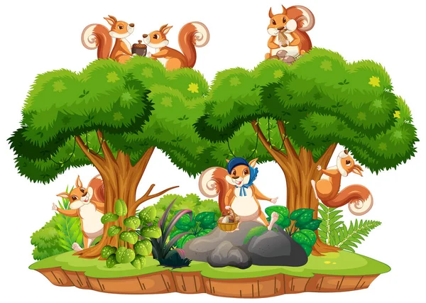 Scene Squirrels Forest Illustration — Stock Vector