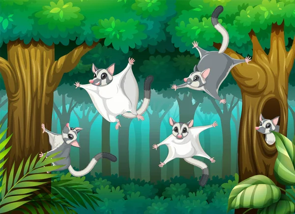 Scene Sugar Glider Forest Illustration — ストックベクタ