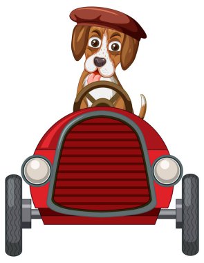 Oyuncak araba kullanan bir av köpeği.