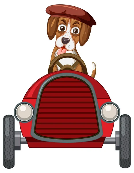 Oyuncak Araba Kullanan Bir Köpeği — Stok Vektör