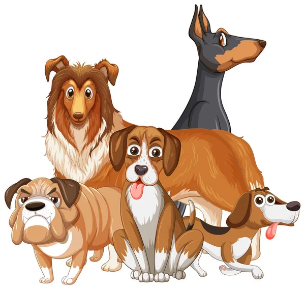 Grupp Olika Hund Vit Bakgrund Illustration — Stock vektor