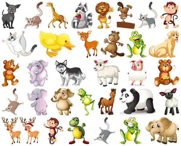 Sada Zvířat Kreslený Charakter Ilustrace — Stockový vektor