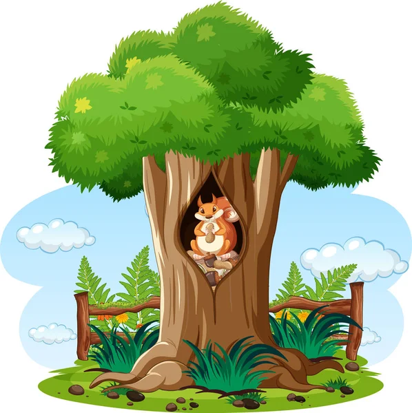 Nature Scene Squirrel Tree Illustration — Stock Vector