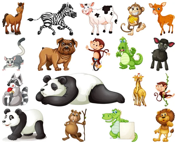 Set Animal Cartoon Character Illustration — Stock Vector