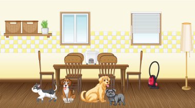 Mutfak resimlerinde farklı evcil hayvanlar var.