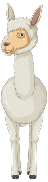 Een Alpaca Witte Achtergrond Illustratie — Stockvector