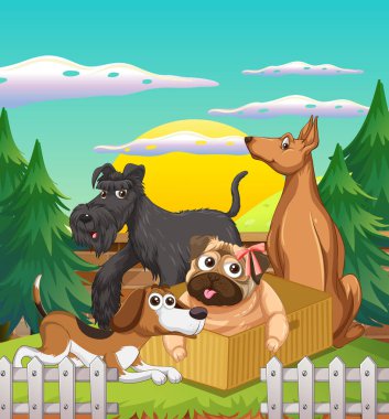 Evcil hayvan resimli açık hava sahnesi