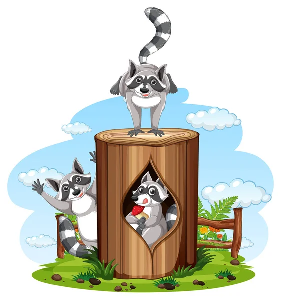 Three Raccoons Playing Park Illustration — стоковый вектор