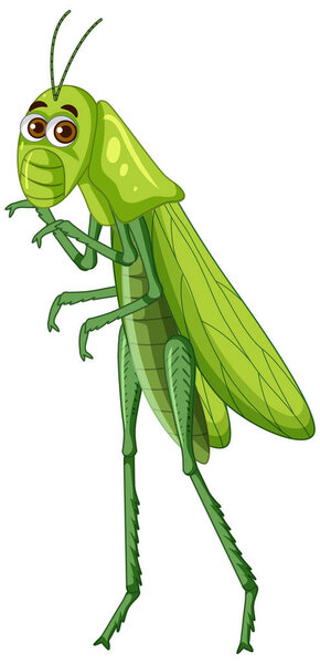 A grasshopper cartoon character isolated illustration
