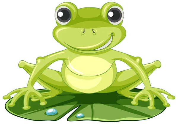 Cute Green Frog Lotus Leaf Illustration — Stock Vector