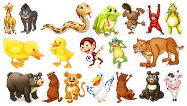 Birçok vahşi hayvanlar üzerinde beyaz arka plan illüstrasyon