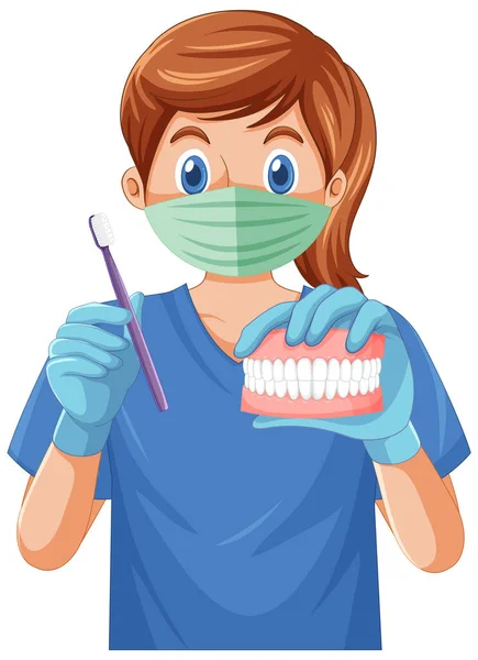 Dentist Holding Human Teeth Model Illustration — Stock Vector