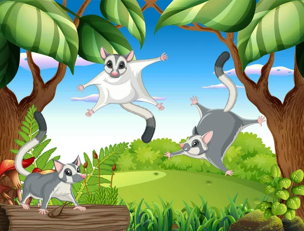 Sugar Gliders Woods Illustration — Vetor de Stock