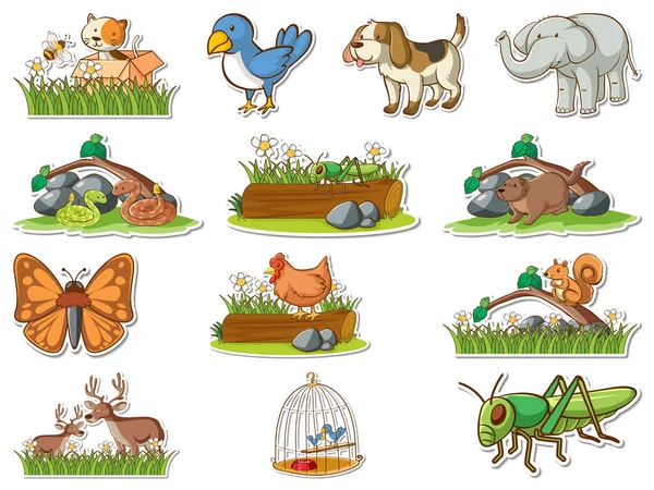 Sticker Set Cartoon Wild Animals Illustration — Stok Vektör