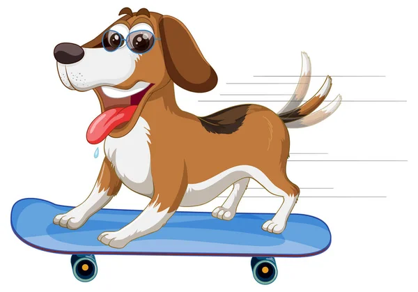 Beagle Dog Skateboard Illustration — Stock Vector