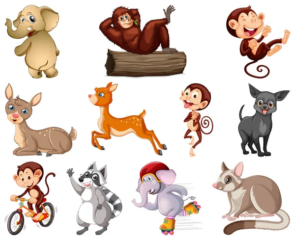 Conjunto Ilustración Personajes Dibujos Animados Animales — Vector de stock