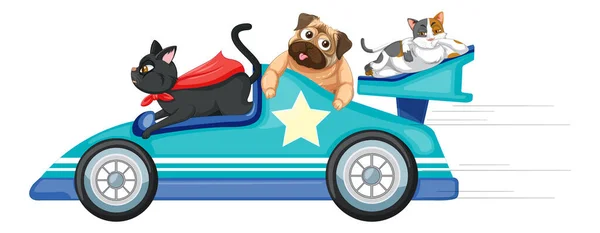 Caixa Sabão Derby Carro Com Animais Domésticos Ilustração —  Vetores de Stock