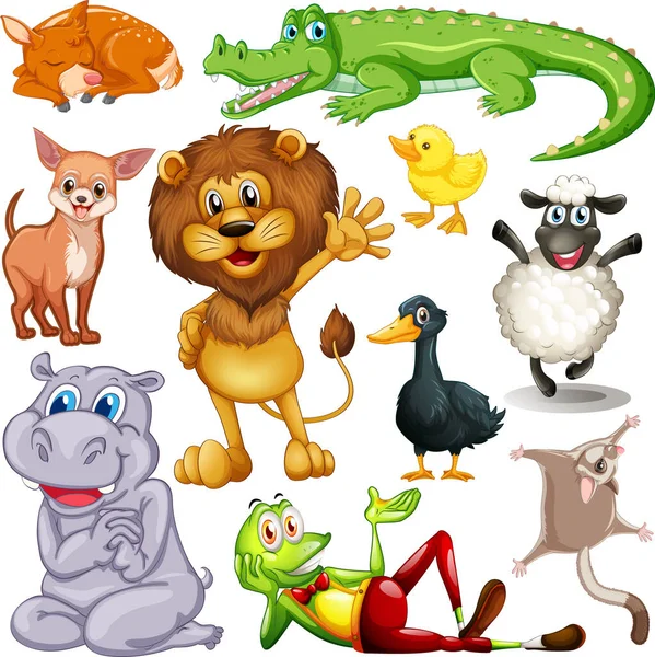 Leuke Dieren Cartoon Set Witte Achtergrond Illustratie — Stockvector