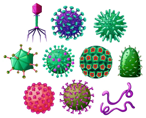 Ilustrasi Virus Dengan Bentuk Yang Berbeda - Stok Vektor