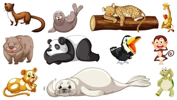 Diferentes Animais Selvagens Fundo Branco Ilustração —  Vetores de Stock