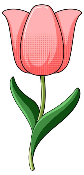 Tulip Flower Red Color Illustration — Stock Vector