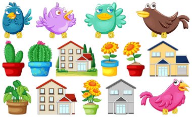 Bir dizi ev ve renkli kuş resimleri.