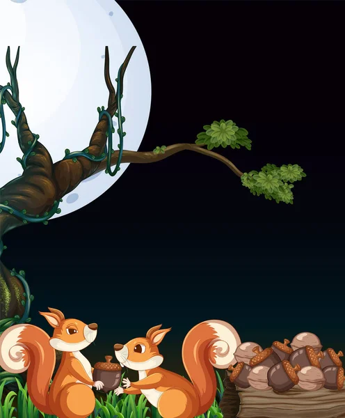 Scene Two Squirrels Collecting Nuts Night Illustration — Vetor de Stock