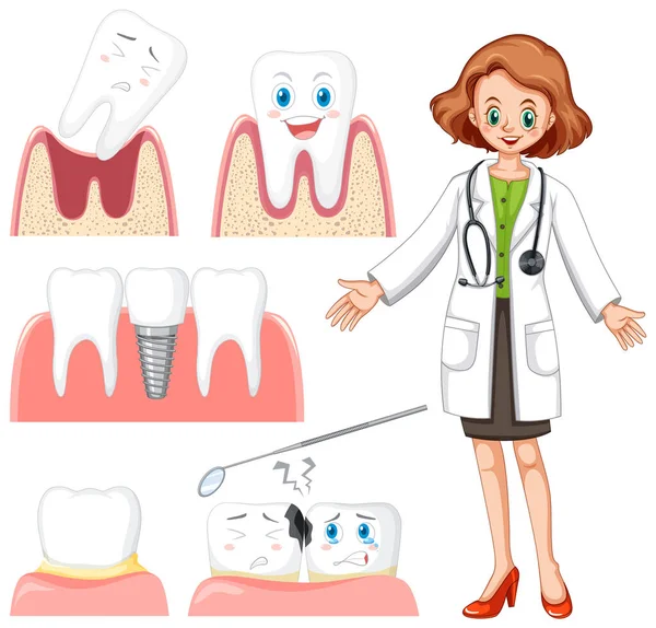 Set of all types of teeth on white background illustration