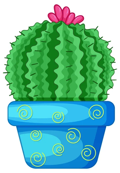 Kaktus Krukke Isolert Illustrasjon – stockvektor