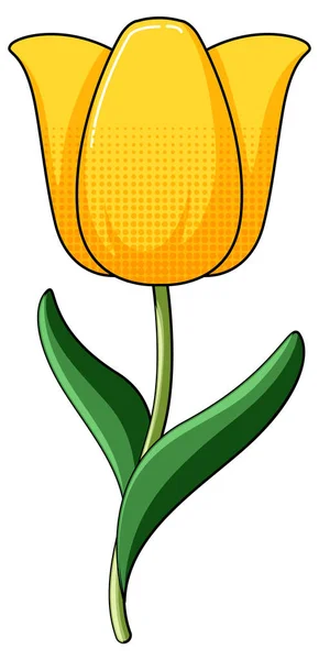 Yellow Tulip Green Leaves Illustration — Stock Vector