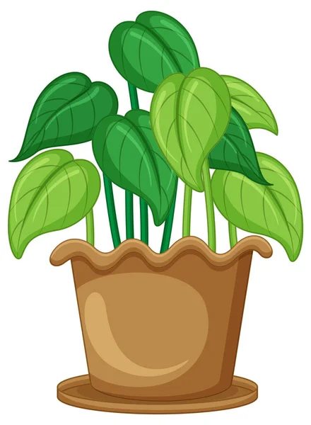 Plant Pot Cartoon Illustration — стоковый вектор