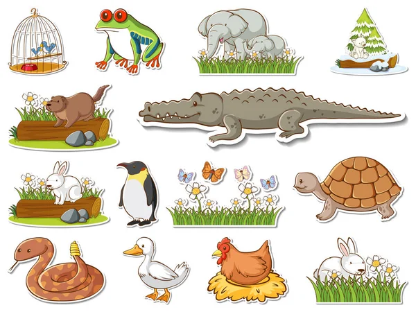 一套更贴切的野生动物卡通画 — 图库矢量图片
