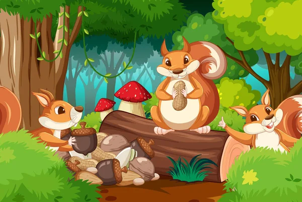 Σκηνή Σκίουρους Στην Απεικόνιση Του Δάσους — Διανυσματικό Αρχείο