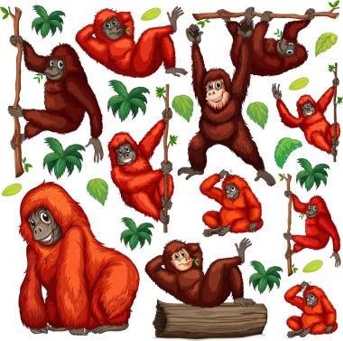 Beyaz arkaplan çiziminde sevimli hayvan karikatürü