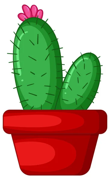 Cactus Vaso Illustrazione Isolata — Vettoriale Stock