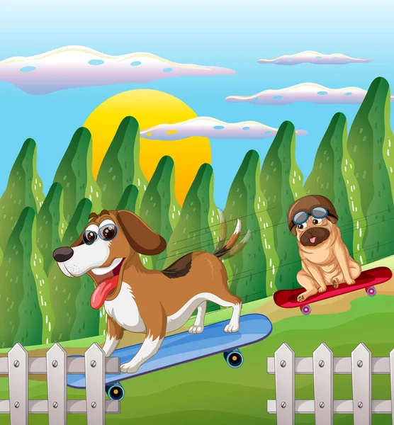 Beagle Cani Skateboard Illustrazione Parco — Vettoriale Stock