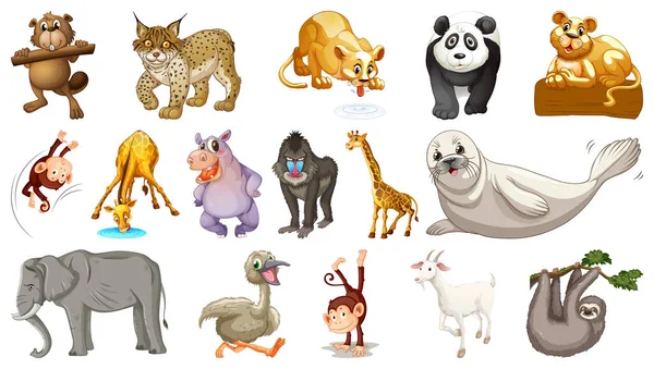 Animaux Sauvages Sur Fond Blanc Illustration — Image vectorielle