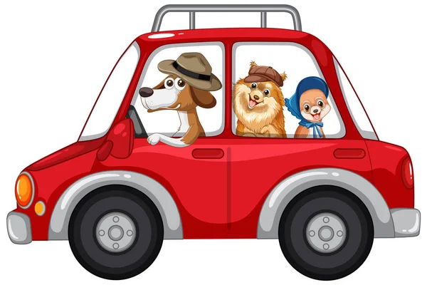 Cães Dirigindo Carro Fundo Branco Ilustração —  Vetores de Stock