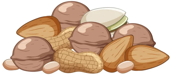 Many Walnuts Almonds Peanuts Pistachios Cartoon Style Illustration — Stock vektor