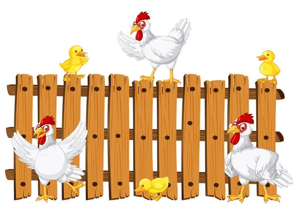 Chickens Wooden Fence Illustration — Wektor stockowy