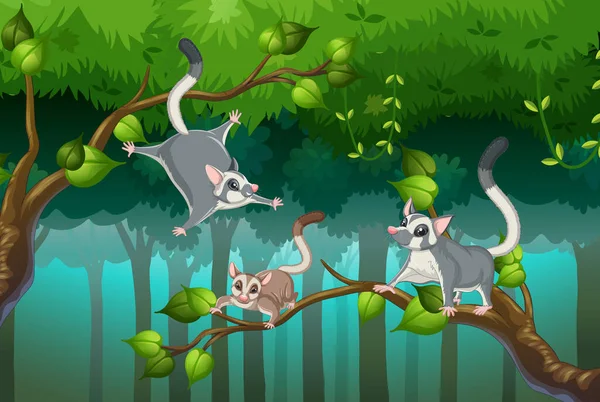 Scène Avec Des Planeurs Sucre Dans Illustration Forêt — Image vectorielle