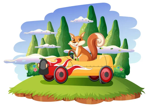 Squirrel Driving Car Island Illustration — Stock Vector