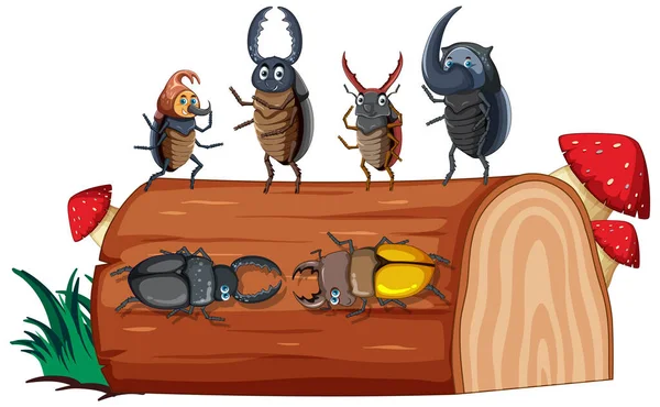 Beetle Friends White Background Illustration — Διανυσματικό Αρχείο
