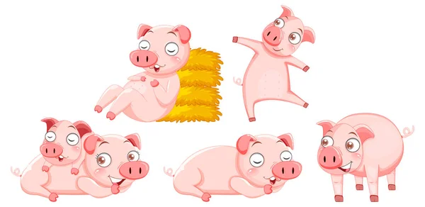 Set Cute Pig Cartoon Characters Illustration —  Vetores de Stock