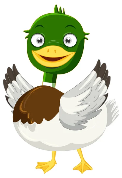 Cute Mallard Duck Cartoon Character Illustration — Vettoriale Stock