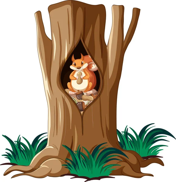Cute Squirrel Eating Nuts Hollow Illustration — Vetor de Stock