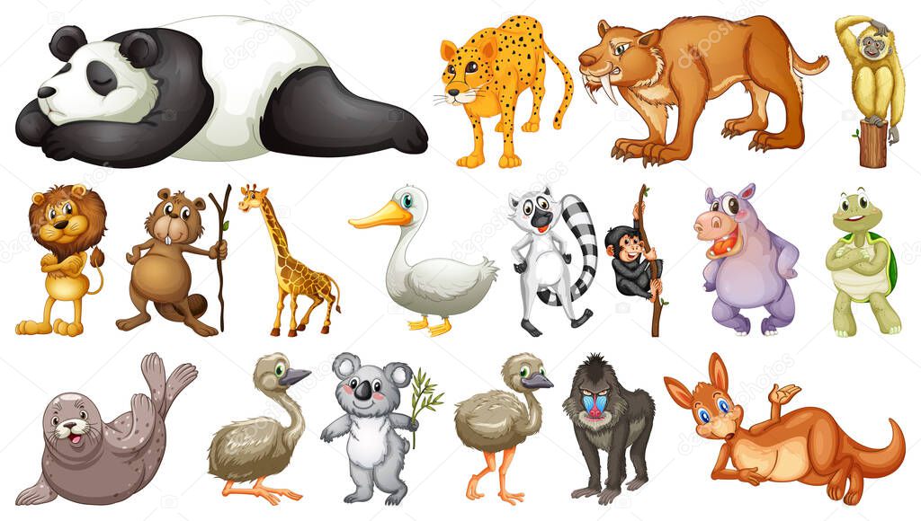Different wild animals on white background illustration