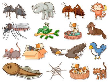 Çizgi filmlerdeki vahşi hayvan çizimleri.