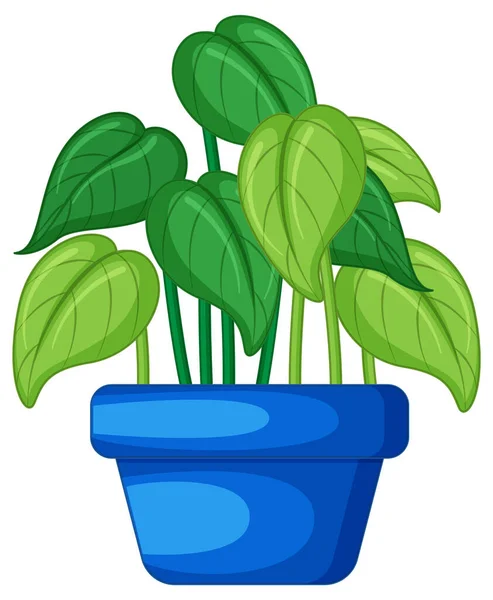 漫画のイラストの鍋に植物 — ストックベクタ